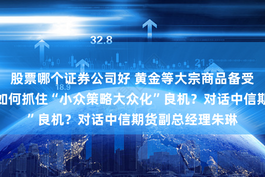 股票哪个证券公司好 黄金等大宗商品备受关注，期货资管如何抓住“小众策略大众化”良机？对话中信期货副总经理朱琳